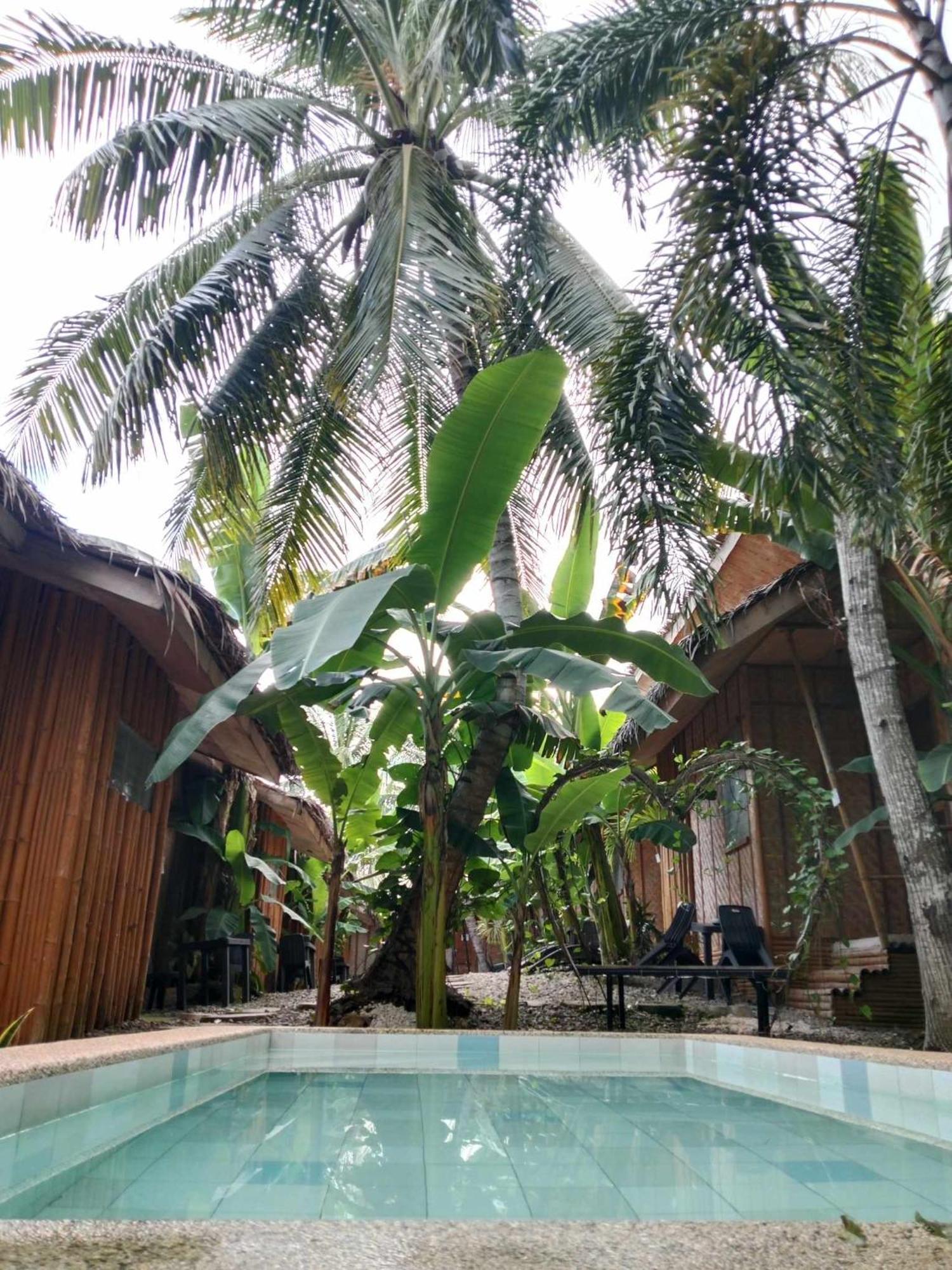 Ecostay Panglao Resort Hotel Luaran gambar