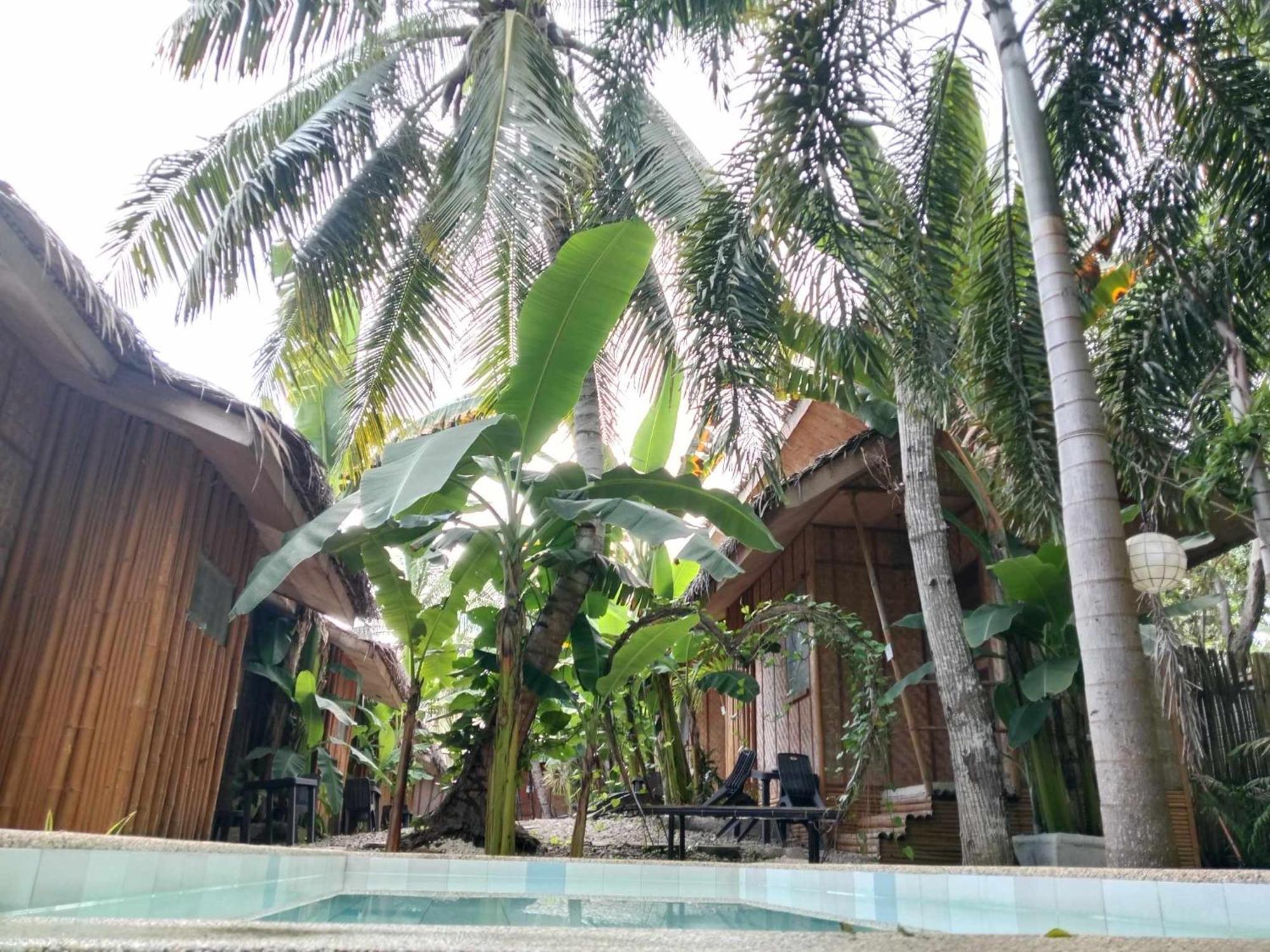 Ecostay Panglao Resort Hotel Luaran gambar